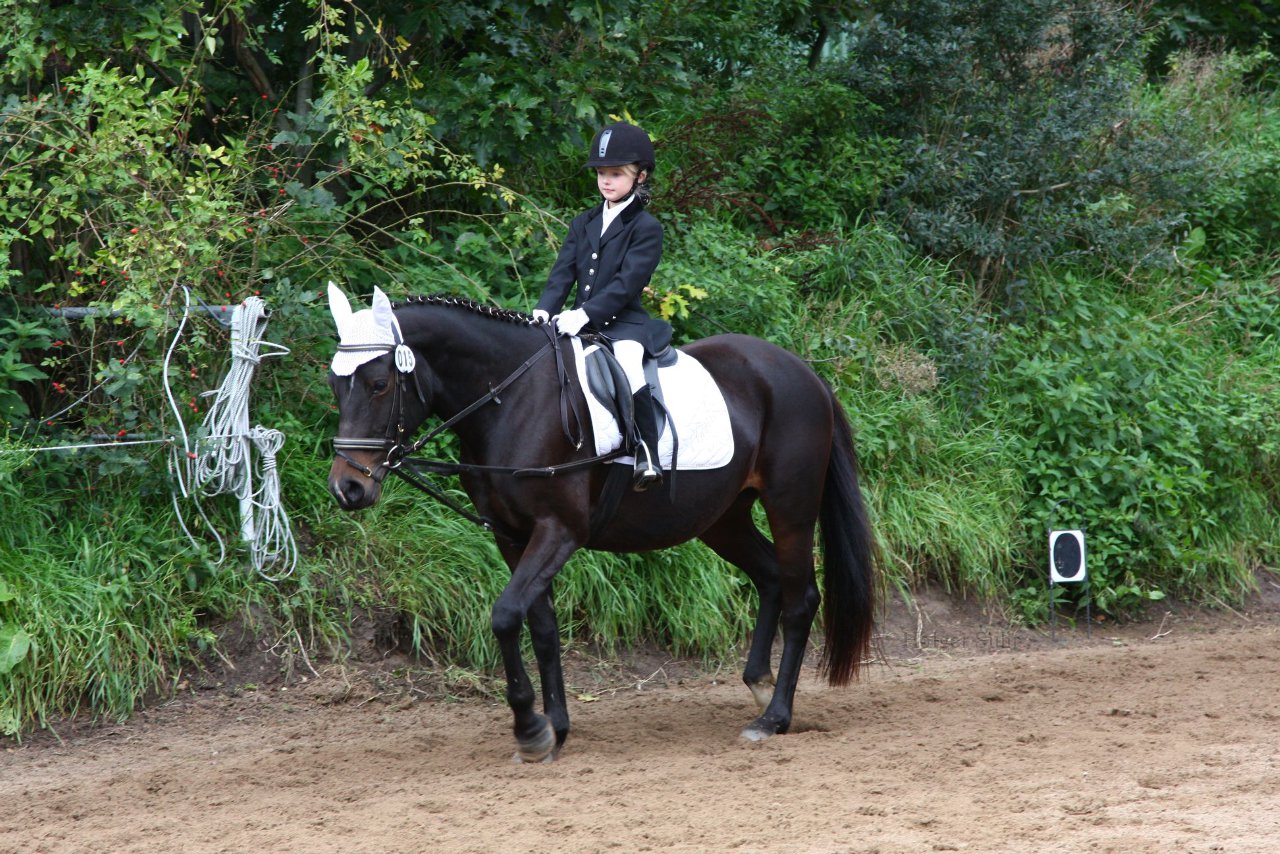 Bild 1161 - WBO-Turnier am 18.9.11